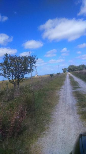 Imagen 8 de 8 de Campo - Punta Indio