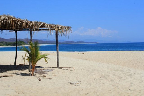 Un Paraiso A Tu Alcance