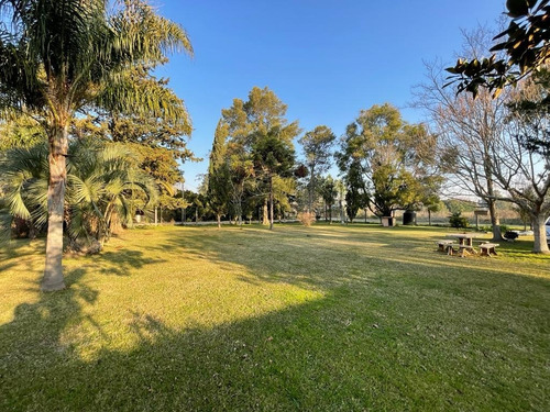 Imagen 22 de 25 de Venta Quinta Casa Berisso; Piscina; Forestacion; Quincho ; Parrilla