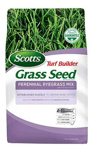 comprar Semillas De Césped Scotts Turf Builder Perennial Ryegrass Mi