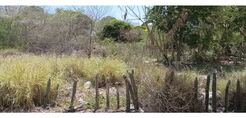 Terreno En Bella Vista