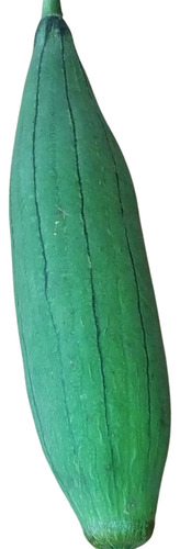 Semillas De Esponja Vegetal Organicas.