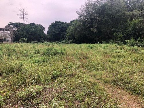 Imagen 8 de 14 de Terreno - San Juan Bautista Tuxtepec