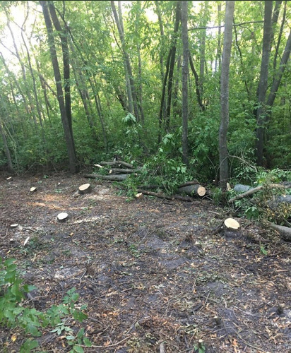 Venta De Terreno En El Barrio Los Bosquecitos