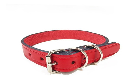 Collar Cuero 20 Mm. (3/4)