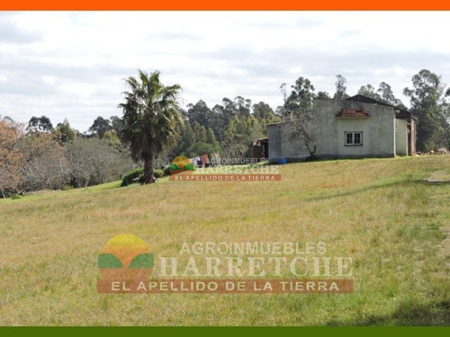 Campo, 69 Has, Las Brujas Con Costa Al Rio Santa Lucia, Casco, Varias Construcciones