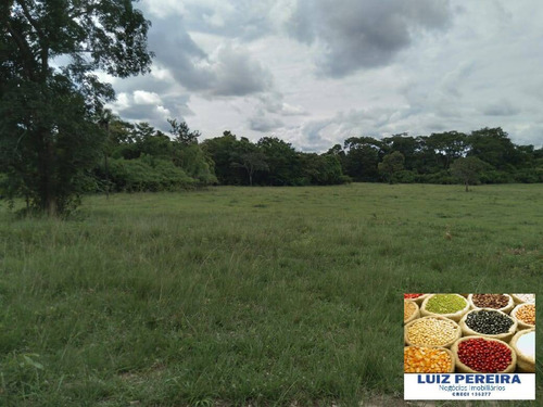 Imagem 2 de 8 de Fazenda À Venda Em Camapuã - Ms - De 865 Hectares (pecuária) - 1674