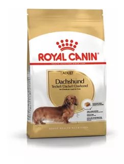 Alimento Royal Canin Breed Health Nutrition Dachshund para cachorro adulto de raça mini e pequena sabor mix em sacola de 2.5kg