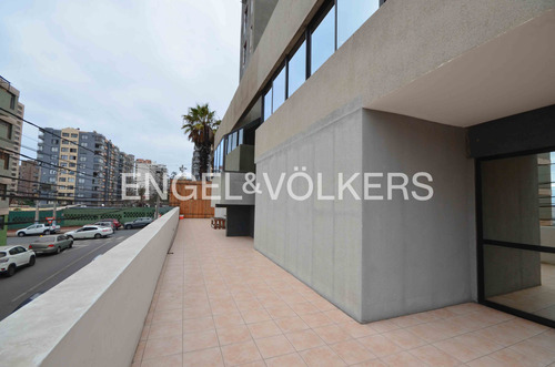 Oficina Planta Libre, Con Mobiliario, En 313 M2