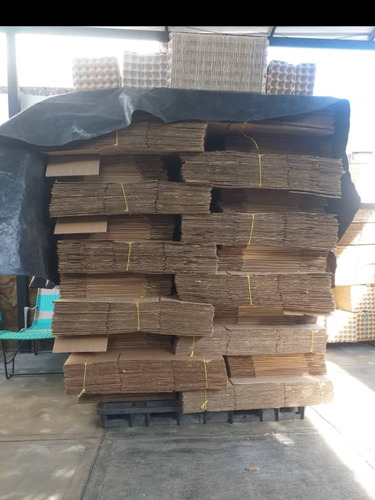 Cajas De Cartón Y Separadores De Huevo (Usado)