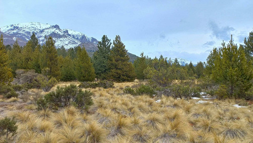 Imagen 1 de 21 de Terreno A La Venta En Bariloche 