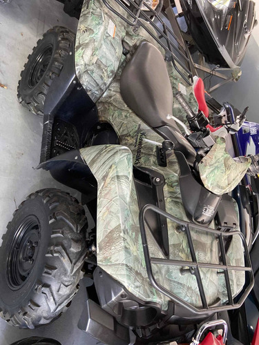 Kawasaki Brute Force