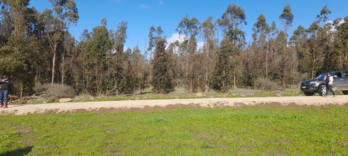 Imagen 21 de 22 de Hermosas Parcelas En Fundo La Quirigua Vichuquén