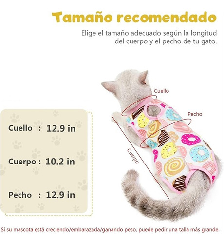 3 Pcs Traje De Recuperación Para Gatostranspirable Trajes