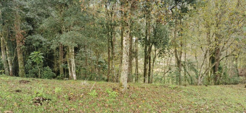 Imagen 18 de 22 de Terreno - Cuauhtémoc