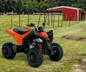 Can-am Ds 250