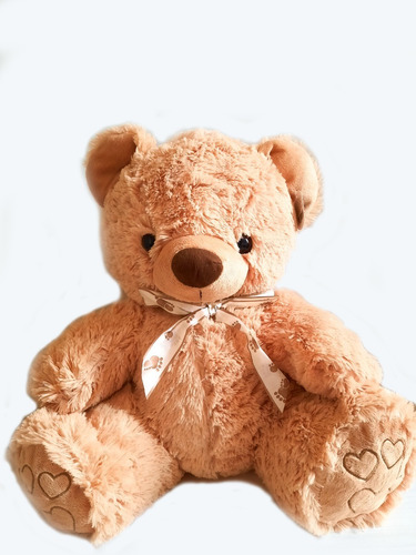 Peluche  Oso Teddy Importado