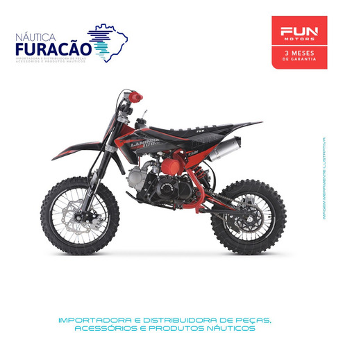 Imagem 2 de 14 de Mini Moto Fun Motors Laminha 100