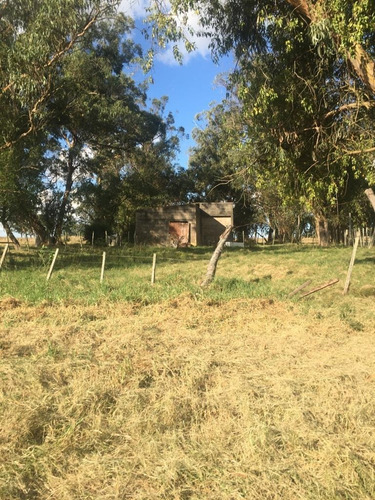 Imagen 11 de 15 de Campo Ganadero 232 Hectáreas (90 Hectáreas Son De Soja) .ruta 9