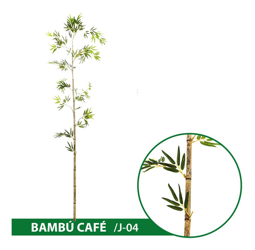 Bambú Vara Café 6 Piezas De 2m. Green Outlet Envío Gratis