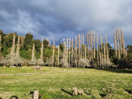 Cabaña Con Bosque Nativo Y Acceso A Río I Puerto Varas