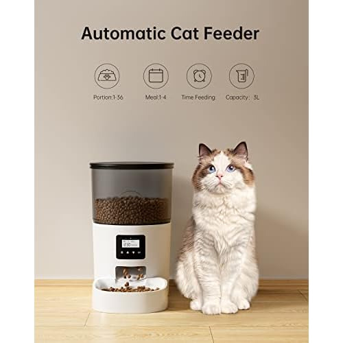 Dispensadores Automáticos De Comida Gatos, Diseño Sin...