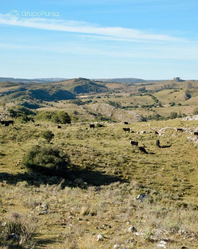 Imagen 14 de 15 de Chacras Financiadas En Minas Lavalleja
