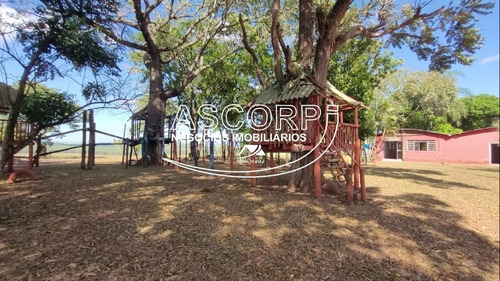 Imagem 15 de 19 de Sítio/pousada Em Anhembi - Piracicaba Sp(código St00003) - St00003 - 71022310