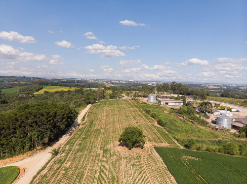 Imagem 2 de 17 de Terreno/ Área 20.000m² A Venda Em Araucária Pr. - Te00002 - 68828711