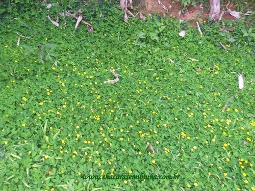 Imagem 29 de 30 de Chacara - 2435 - 34667152