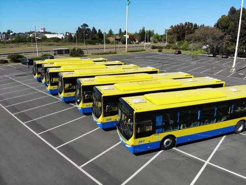 Parte De Ómnibus Ucot