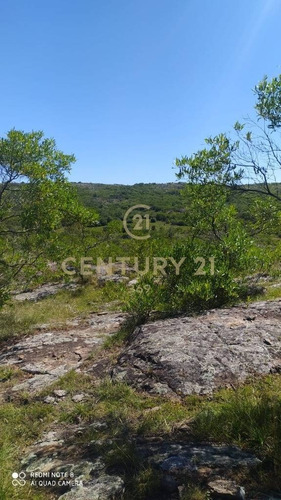 Imagen 6 de 19 de Se Vende Muy Lindo Campo Con Cañada !!