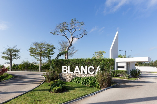 Terrenos En Venta En Blanca Residencial, Mérida.