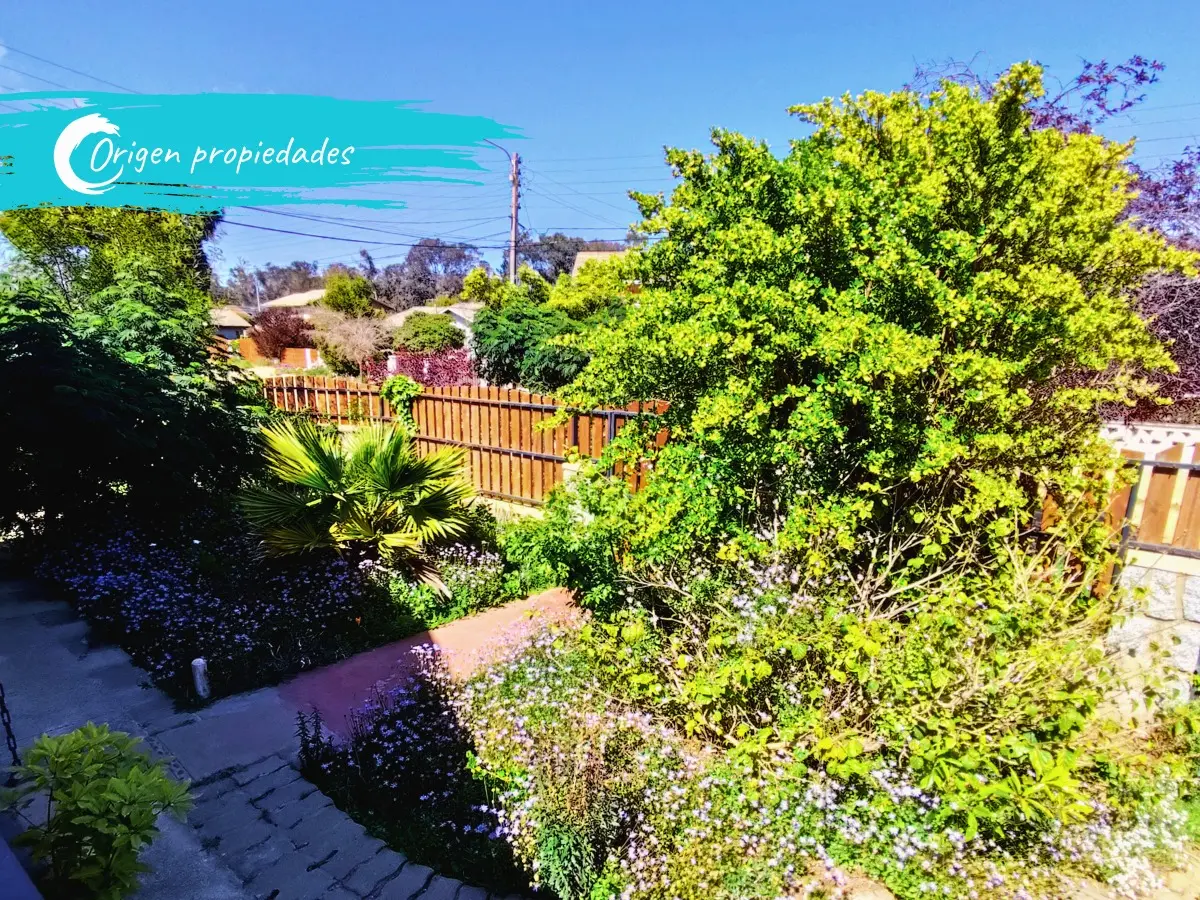 Imagen 3 de 21 de Casa A Cuadras Parque El Canelo, Barrio Turístico Algarrobo