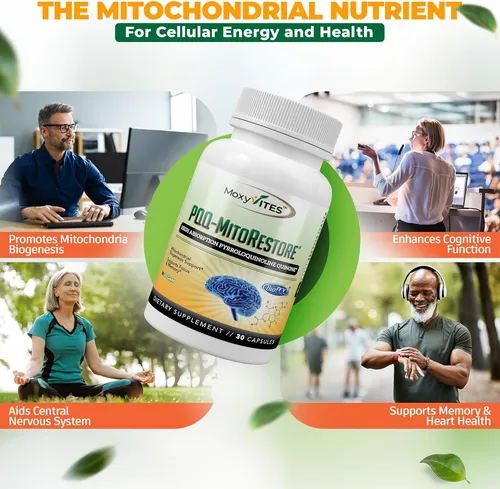 Pqq Mitorestore Memoria Concentración Biopqq 20 Mg Apoyo Cog