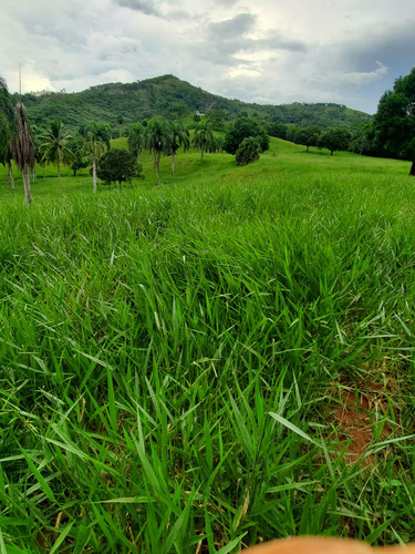 Te Vendo Excelente Finca En Monte Plata.