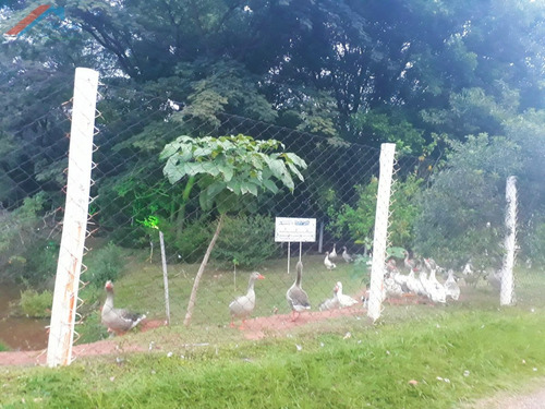 Imagem 11 de 20 de Casa A Venda No Bairro Jardim Residencial Villa Amato Em - Ca 186-1