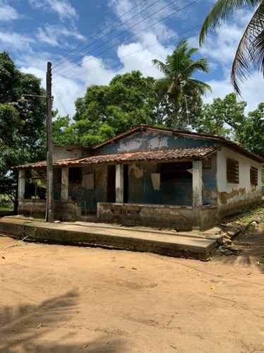 Imagem 4 de 7 de Granja Para Venda - 009987