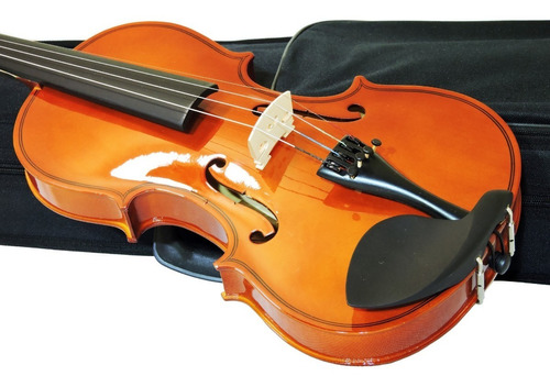 Violino Barth 4/4 100% Madeira + Case + Arco + Breu Nt