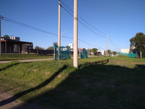 Imagen 3 de 4 de Terreno En Bosques De Catalina Ruta E53