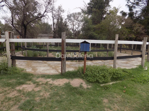 Hipico En Venta En Paso Del Rey, Moreno, G.b.a. Zona Oeste