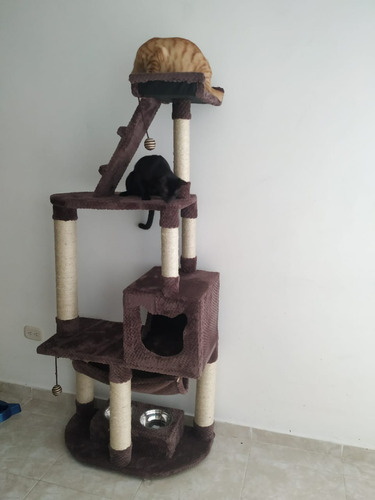 Gimnasio Para Gatos - Kg a $305000