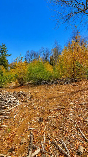 Vive En La Naturaleza Parcela De 10000mt2 En La Placeta