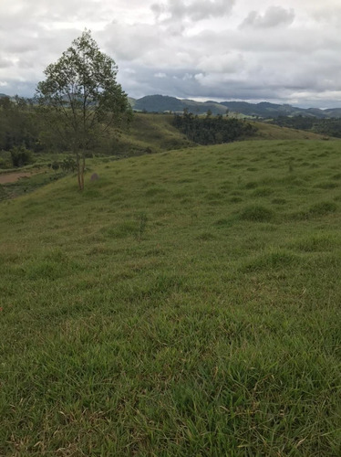 Imagem 10 de 14 de A26- A Hora É Agora!! Corre.