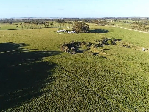 Venta Campo Sobre Laguna De Rocha 9651 (ref: Cbr-1199)