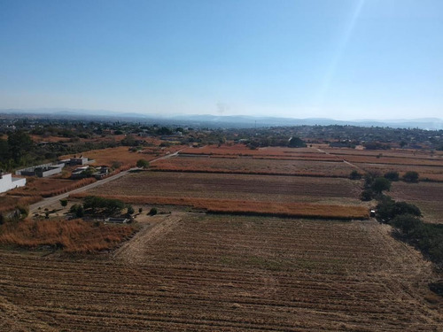 Terreno En Venta Morelos