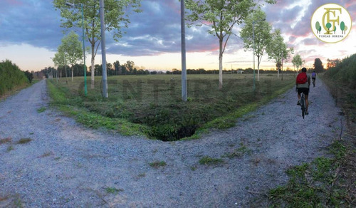 Imagen 7 de 8 de 147 Y 486 - Lote En Venta, Fincas De Gorina