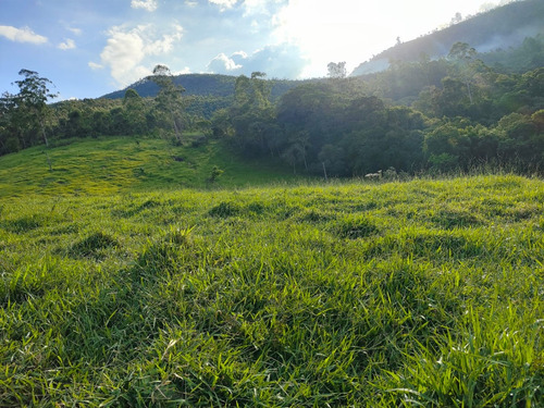 Terreno À Venda Próximo A Santa Isabel E Igaratá, Sp