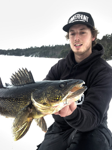 Lunkerhunt Straight Up Jig - Señuelo De Pesca, White Bass