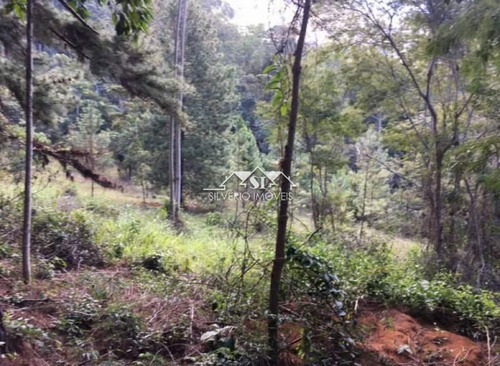 Imagem 12 de 13 de Terreno- Petrópolis, Araras - 32212